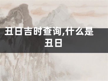 丑日吉时查询,什么是丑日