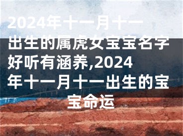 2024年十一月十一出生的属虎女宝宝名字好听有涵养,2024年十一月十一出生的宝宝命运