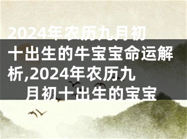 2024年农历九月初十出生的牛宝宝命运解析,2024年农历九月初十出生的宝宝