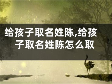 给孩子取名姓陈,给孩子取名姓陈怎么取