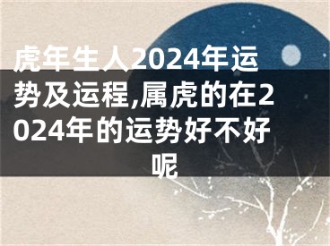 虎年生人2024年运势及运程,属虎的在2024年的运势好不好呢
