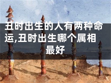 丑时出生的人有两种命运,丑时出生哪个属相最好