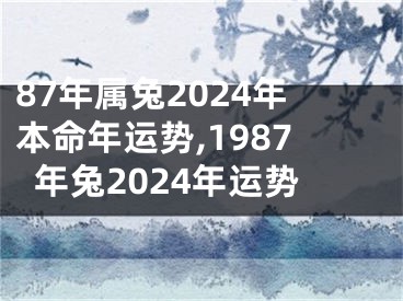 87年属兔2024年本命年运势,1987年兔2024年运势