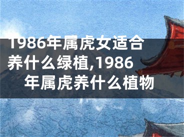 1986年属虎女适合养什么绿植,1986年属虎养什么植物