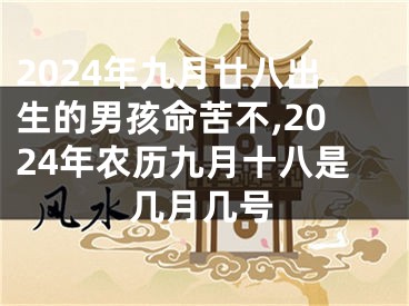 2024年九月廿八出生的男孩命苦不,2024年农历九月十八是几月几号