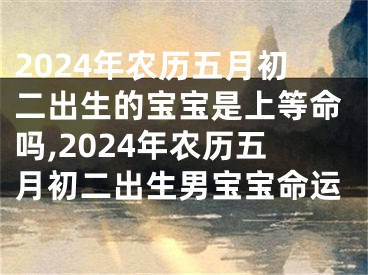 2024年农历五月初二出生的宝宝是上等命吗,2024年农历五月初二出生男宝宝命运