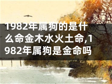 1982年属狗的是什么命金木水火土命,1982年属狗是金命吗