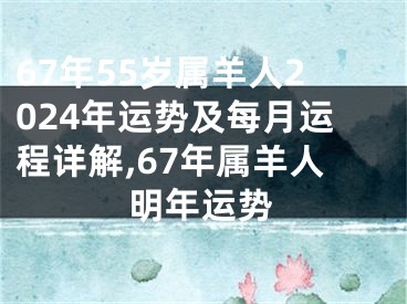 67年55岁属羊人2024年运势及每月运程详解,67年属羊人明年运势