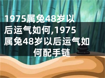 1975属兔48岁以后运气如何,1975属兔48岁以后运气如何配手链