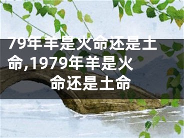 79年羊是火命还是土命,1979年羊是火命还是土命