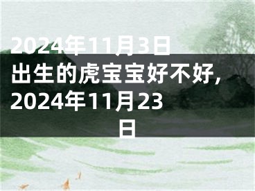 2024年11月3日出生的虎宝宝好不好,2024年11月23日