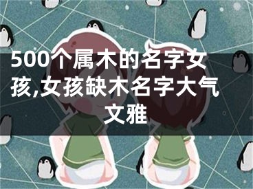 500个属木的名字女孩,女孩缺木名字大气文雅