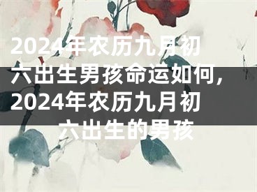 2024年农历九月初六出生男孩命运如何,2024年农历九月初六出生的男孩