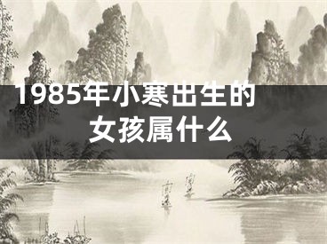 1985年小寒出生的女孩属什么