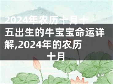 2024年农历十月十五出生的牛宝宝命运详解,2024年的农历十月