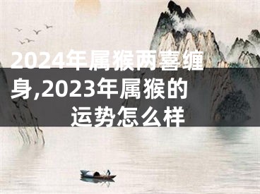 2024年属猴两喜缠身,2023年属猴的运势怎么样