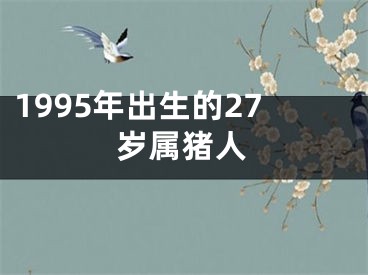 1995年出生的27岁属猪人