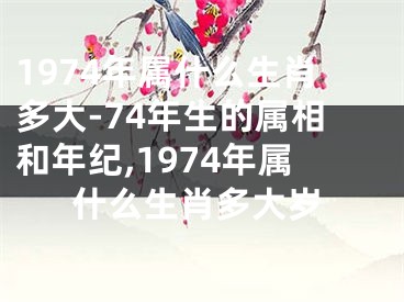 1974年属什么生肖多大-74年生的属相和年纪,1974年属什么生肖多大岁