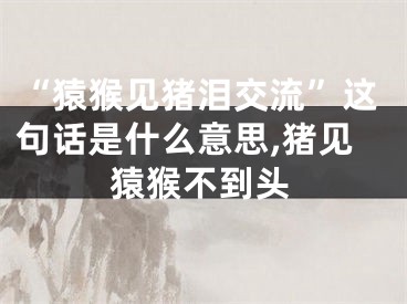 “猿猴见猪泪交流”这句话是什么意思,猪见猿猴不到头