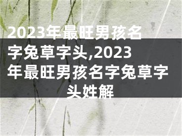 2023年最旺男孩名字兔草字头,2023年最旺男孩名字兔草字头姓解
