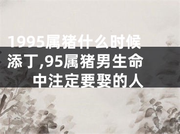 1995属猪什么时候添丁,95属猪男生命中注定要娶的人
