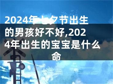 2024年七夕节出生的男孩好不好,2024年出生的宝宝是什么命