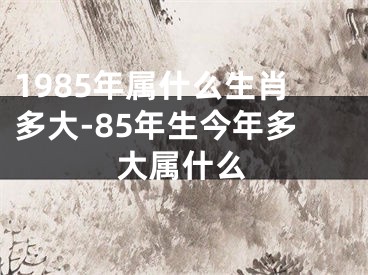 1985年属什么生肖多大-85年生今年多大属什么