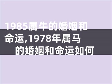 1985属牛的婚姻和命运,1978年属马的婚姻和命运如何