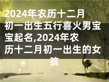 2024年农历十二月初一出生五行喜火男宝宝起名,2024年农历十二月初一出生的女孩