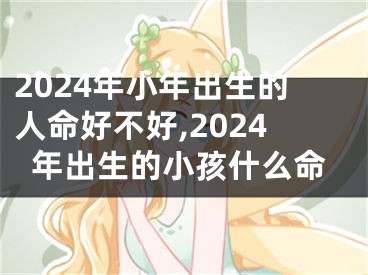 2024年小年出生的人命好不好,2024年出生的小孩什么命