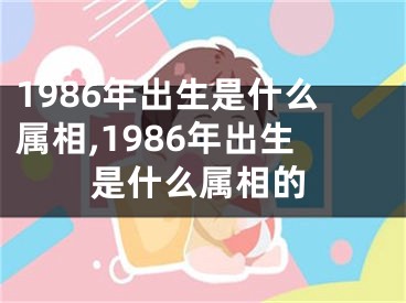 1986年出生是什么属相,1986年出生是什么属相的
