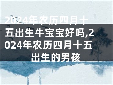 2024年农历四月十五出生牛宝宝好吗,2024年农历四月十五出生的男孩