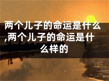 两个儿子的命运是什么,两个儿子的命运是什么样的