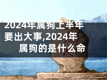 2024年属狗上半年要出大事,2024年属狗的是什么命
