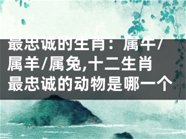 最忠诚的生肖：属牛/属羊/属兔,十二生肖最忠诚的动物是哪一个