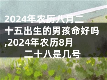 2024年农历八月二十五出生的男孩命好吗,2024年农历8月二十八是几号