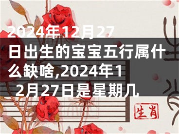 2024年12月27日出生的宝宝五行属什么缺啥,2024年12月27日是星期几