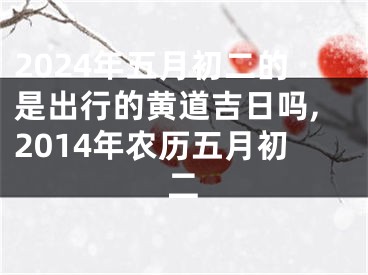 2024年五月初二的是出行的黄道吉日吗,2014年农历五月初二