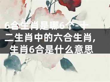 6合生肖是哪6个-十二生肖中的六合生肖,生肖6合是什么意思