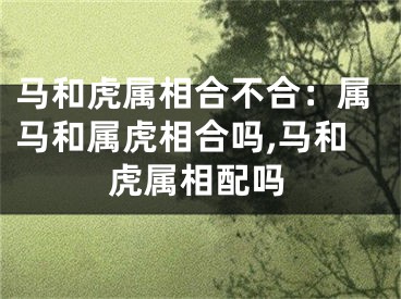 马和虎属相合不合：属马和属虎相合吗,马和虎属相配吗