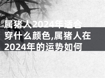 属猪人2024年适合穿什么颜色,属猪人在2024年的运势如何