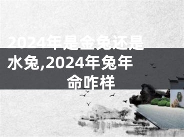 2024年是金兔还是水兔,2024年兔年命咋样