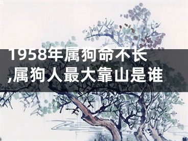 1958年属狗命不长,属狗人最大靠山是谁