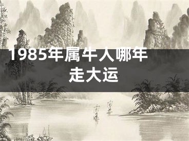 1985年属牛人哪年走大运