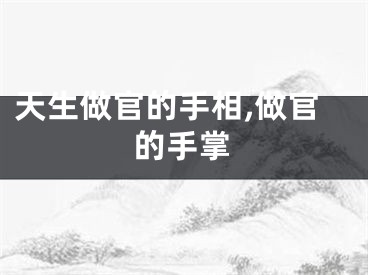 天生做官的手相,做官的手掌