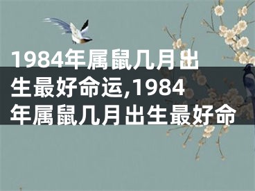 1984年属鼠几月出生最好命运,1984年属鼠几月出生最好命