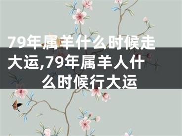 79年属羊什么时候走大运,79年属羊人什么时候行大运