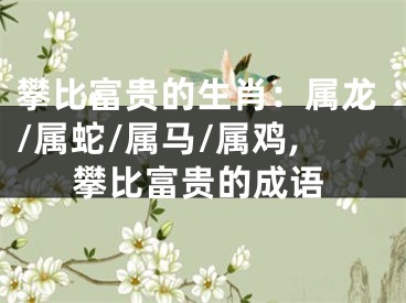 攀比富贵的生肖：属龙/属蛇/属马/属鸡,攀比富贵的成语