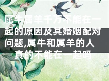 属牛属羊千万不能在一起的原因及其婚姻配对问题,属牛和属羊的人真的不能在一起吗