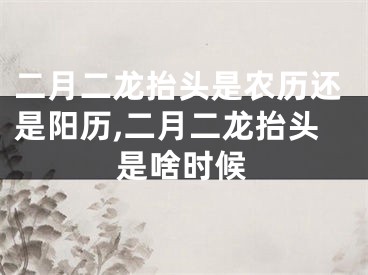 二月二龙抬头是农历还是阳历,二月二龙抬头是啥时候